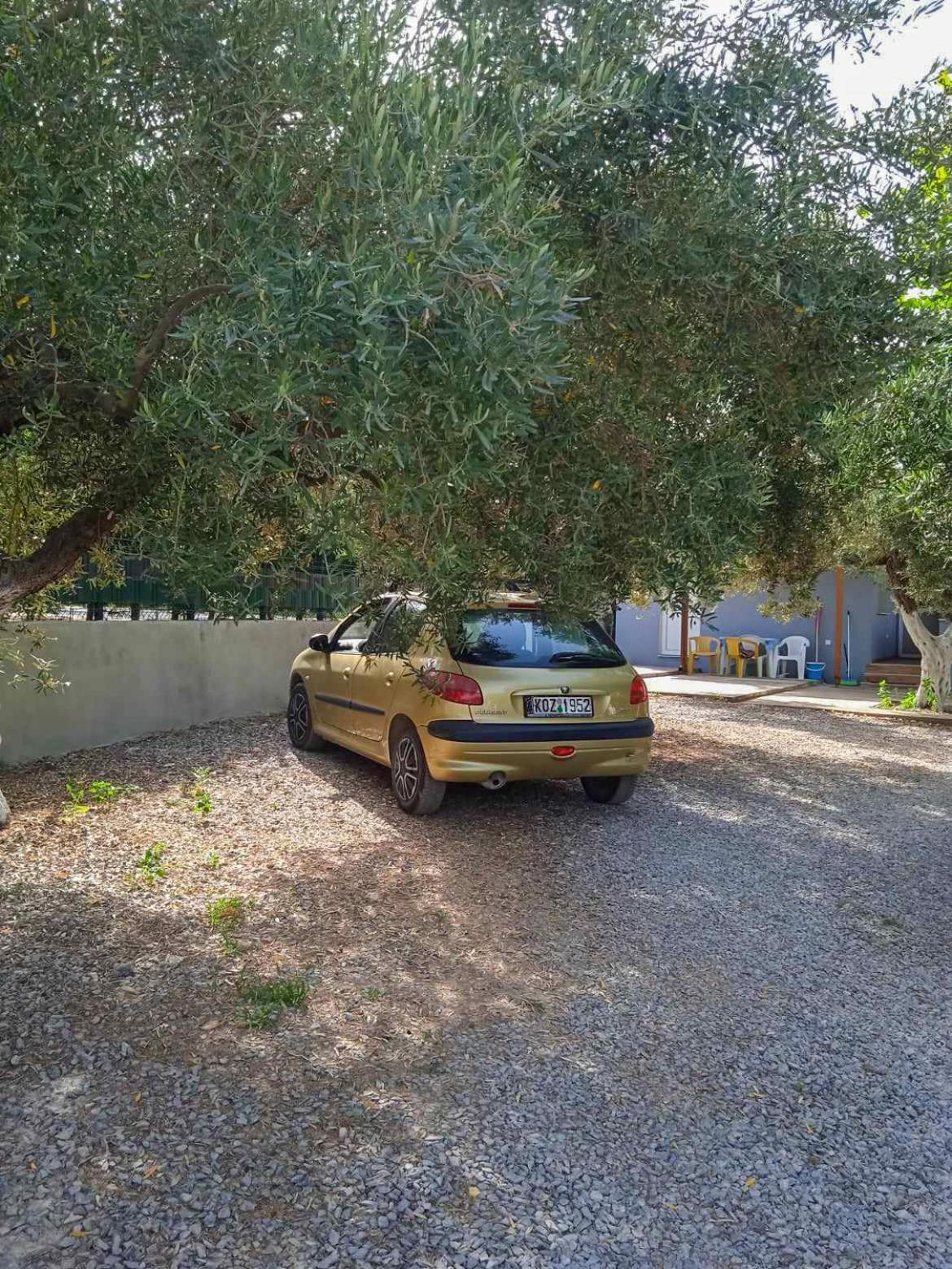 Κυανή Ακτή - Agia Paraskevi Nea Nea Makri Zewnętrze zdjęcie